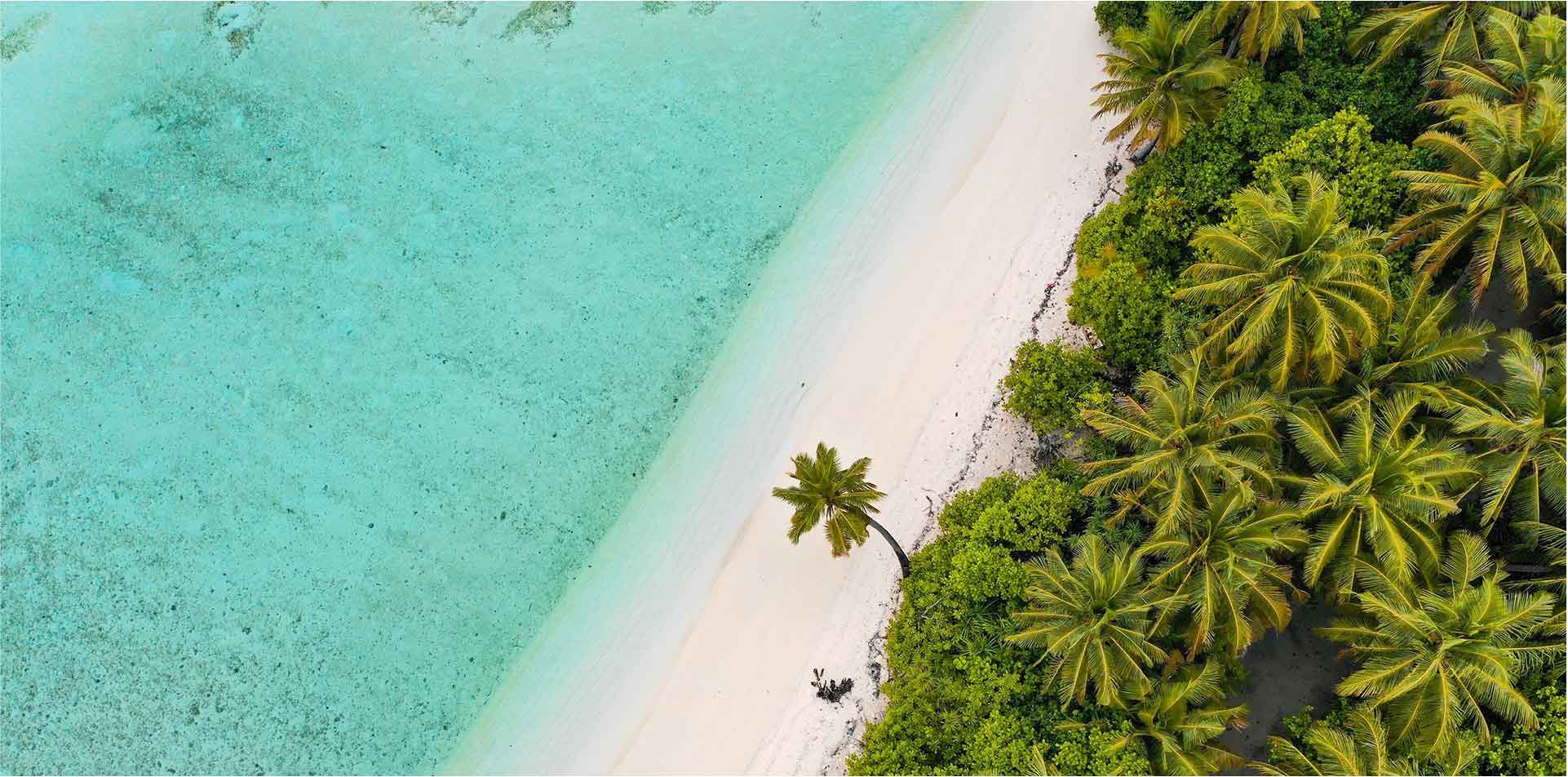 N-TRAVEL - Tropical beach